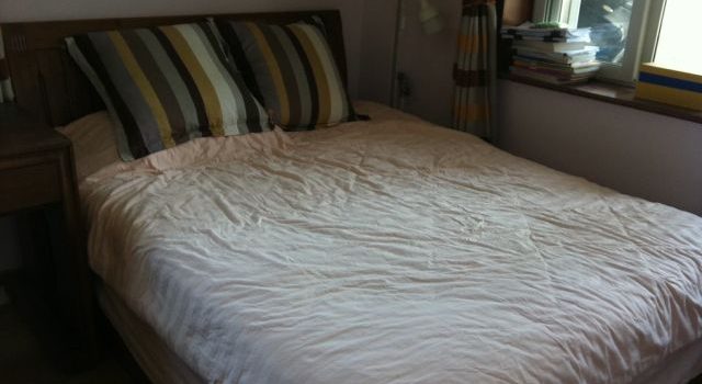 高浜市の注文住宅で地域を育む